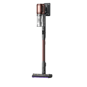 Dreame V30